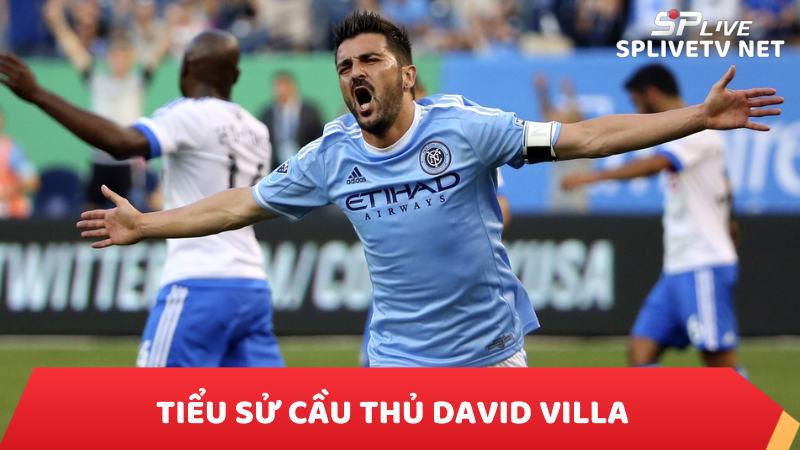 Tiểu sử cầu thủ David Villa