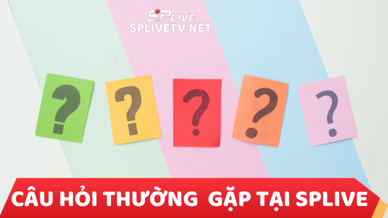 Câu hỏi thường gặp tại SPLive